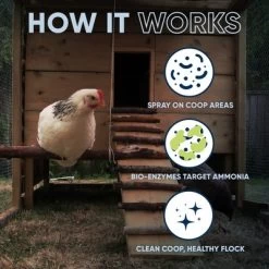 Chicken Coop Odor Eliminator 16 Chicken Coop Odor Eliminator -Cleaning Supply Store GUEST c80964d1 7862 4741 826e 04030e377447