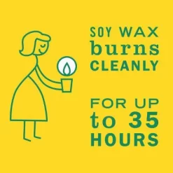 Mrs. Meyer's Clean Day Honeysuckle Large Jar Candle - 7.2oz 12 Mrs. Meyer's Clean Day Honeysuckle Large Jar Candle - 7.2oz -Cleaning Supply Store GUEST c816cf8e dc04 4bc7 a1ff 0c114cf1dcf6