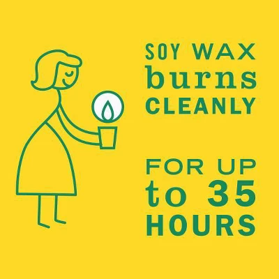 Mrs. Meyer's Clean Day Honeysuckle Large Jar Candle - 7.2oz 6 Mrs. Meyer's Clean Day Honeysuckle Large Jar Candle - 7.2oz - Image 4