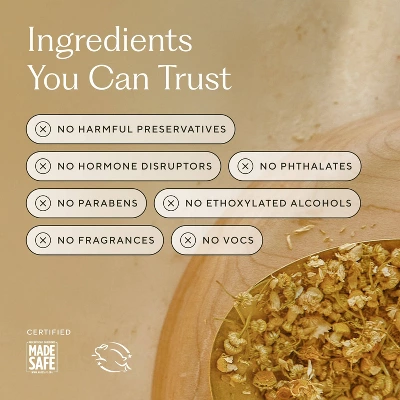 Branch Basics Fragrance-Free Bathroom Cleaner - 16 Fl Oz 9 Branch Basics Fragrance-Free Bathroom Cleaner - 16 Fl Oz - Image 7