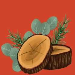 Bona Cleaning Products Refillable & Reusable Jet Mop Wood Spray Mop Refill - Cedarwood Eucalyptus Peony - 32 Fl Oz -Cleaning Supply Store GUEST c9bc054e d941 40e6 b353 1ec37201b68e