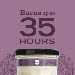 Mrs. Meyer's Clean Day Large Soy Candle - Elderberry - 7.2oz -Cleaning Supply Store GUEST d49a50cd 0111 4735 b97d 13a39b28e926