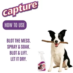 Capture Pet Stain And Odor Eliminator Spray - 32oz 11 Capture Pet Stain And Odor Eliminator Spray - 32oz -Cleaning Supply Store GUEST e4c7c098 7fb1 4830 82fc bdb60d546fb5