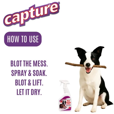 Capture Pet Stain And Odor Eliminator Spray - 32oz 6 Capture Pet Stain And Odor Eliminator Spray - 32oz - Image 4