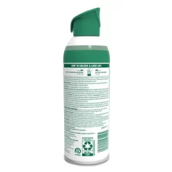 Lysol Mountain Spring Air Sanitizer Spray - 10oz