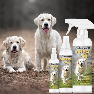 The Blissful Dog Simply CC Canine Cologne 9 The Blissful Dog Simply CC Canine Cologne - Image 7