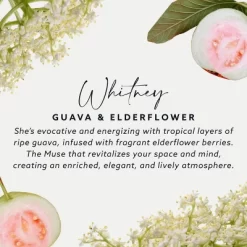 Maison&Muse Kitchen Spray Cleaner - 25.36 Fl Oz 13 Maison&Muse Kitchen Spray Cleaner - 25.36 Fl Oz -Cleaning Supply Store GUEST fd2279cc 926a 4a37 875e 7fc2fb622862