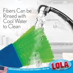 Lola Products Whisk Broom, Hand Brush, Durable Bristles, Whisks Away Dirt & Debris, Compact, Hang Hole For Easy Storage, Indoor/Outdoor, 6 Pack -Cleaning Supply Store GUEST fd7bf3ab 02b5 43cb 92fc 64c0602e6bfc 2